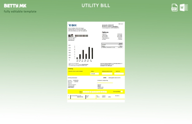Модерен стил Норвешка BKK шаблон сметки за електрична енергија